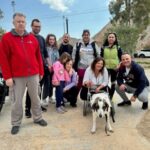 Animal Protection Society of Nikaia-Keratsini