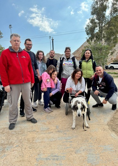 Εταιρεία Προστασίας Ζώων Νίκαιας-Κερατσινίου
